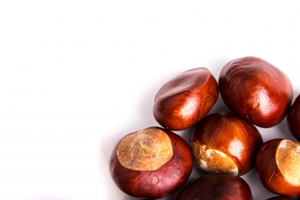 FMCG Marketing Moments - Conkers against a white background